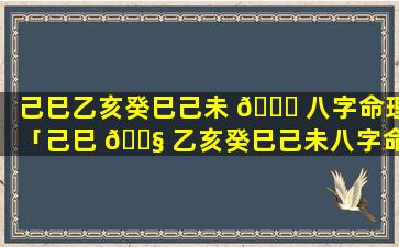 己巳乙亥癸巳己未 💐 八字命理「己巳 🐧 乙亥癸巳己未八字命理详解」